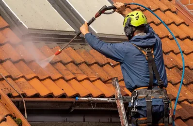 Démoussage et hydrofuge de toiture à la Vacherie